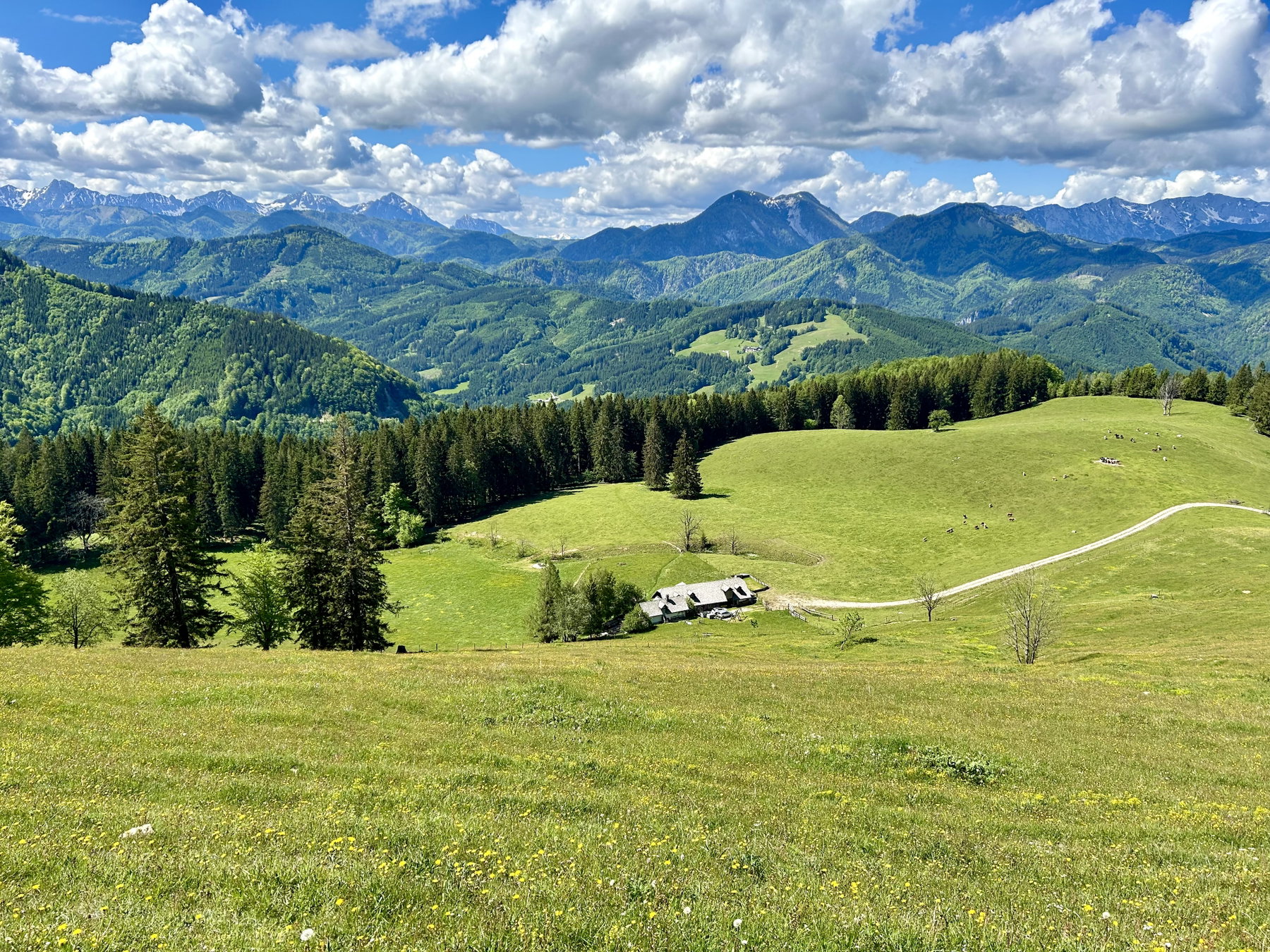 Gschwendtalm. Foto Veronika Schöll