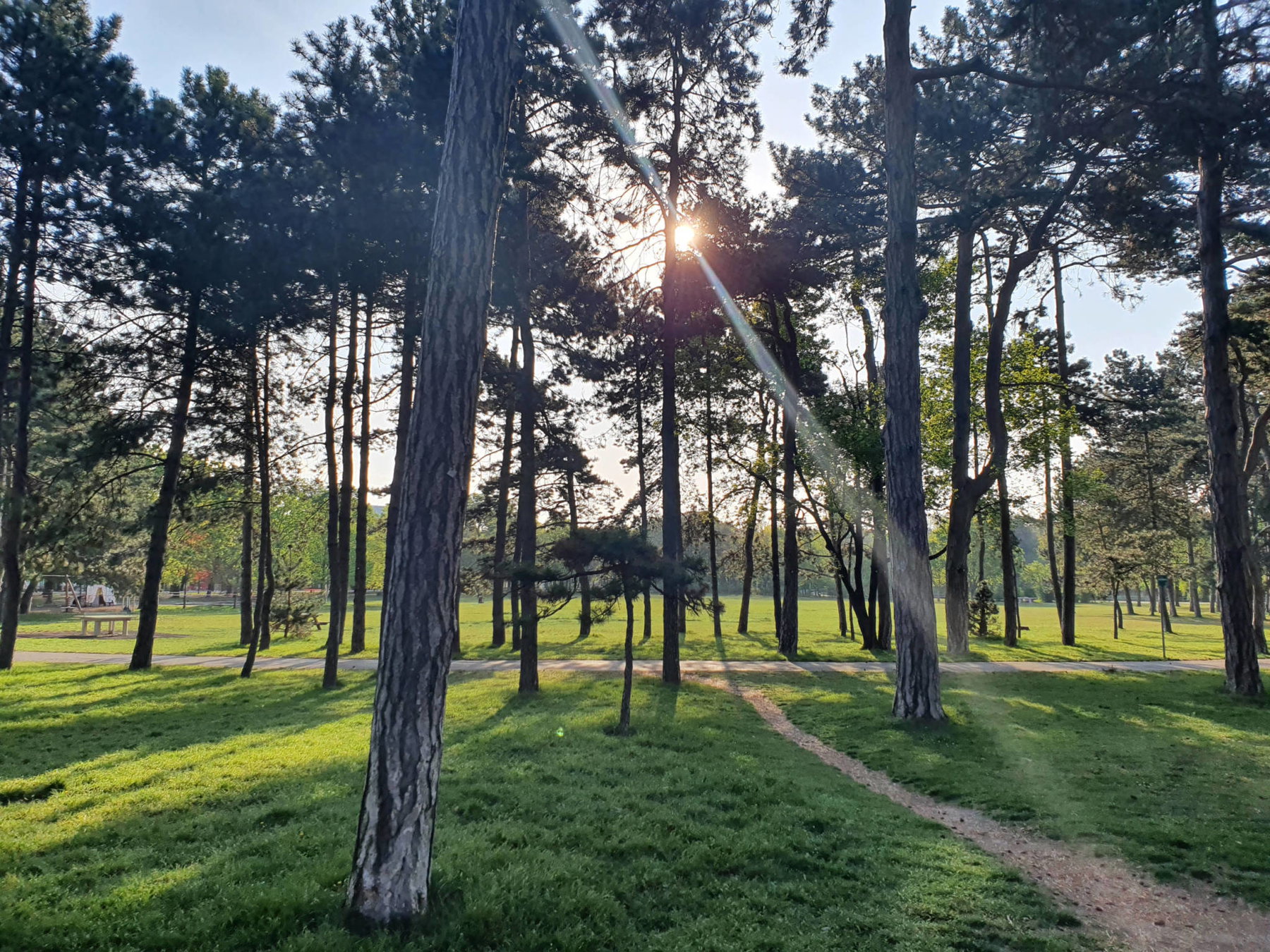 Park. Foto: Christoph Hammerl