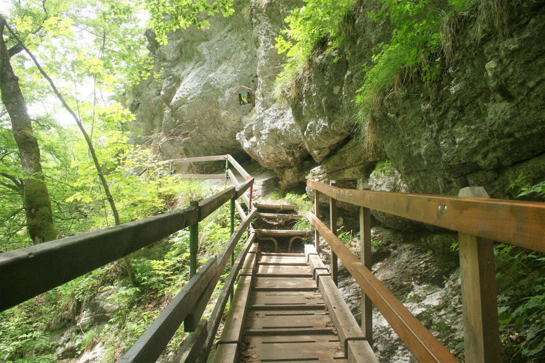 Tscheppaschlucht