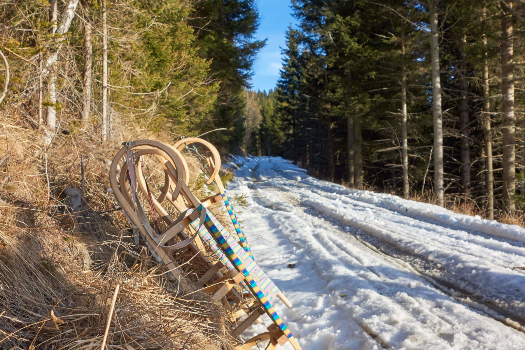Die Rodeln können einfach neben der Straßé stehen gelassen werden