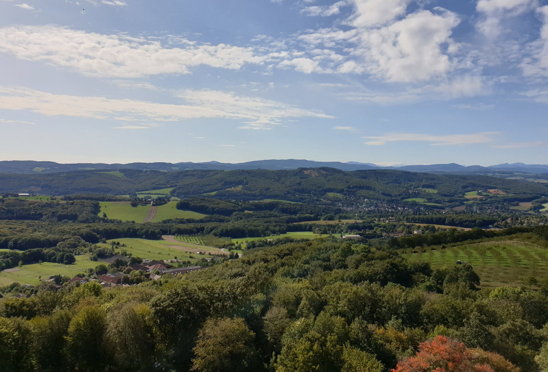 Wienerwald. Foto: Martin Heppner