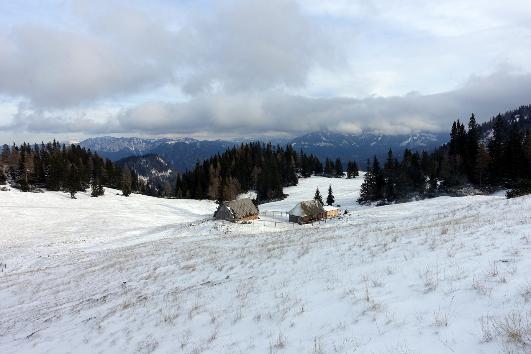 Graualm
