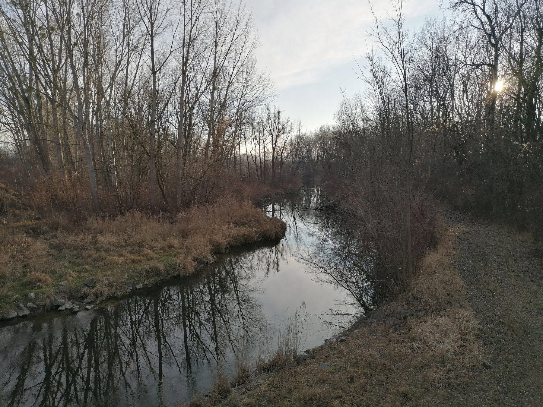 Der Donauarm Plackenwasser. Foto: Peter Ofner