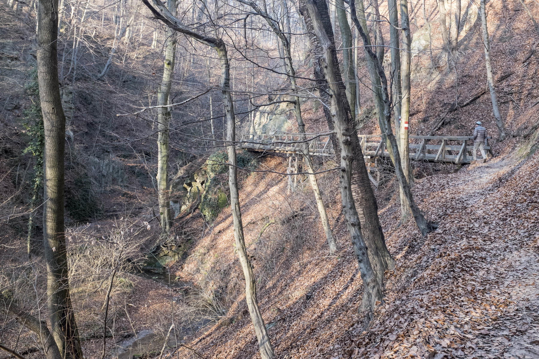 Durch die Hagenbachklamm. Foto: Birgit Reiter