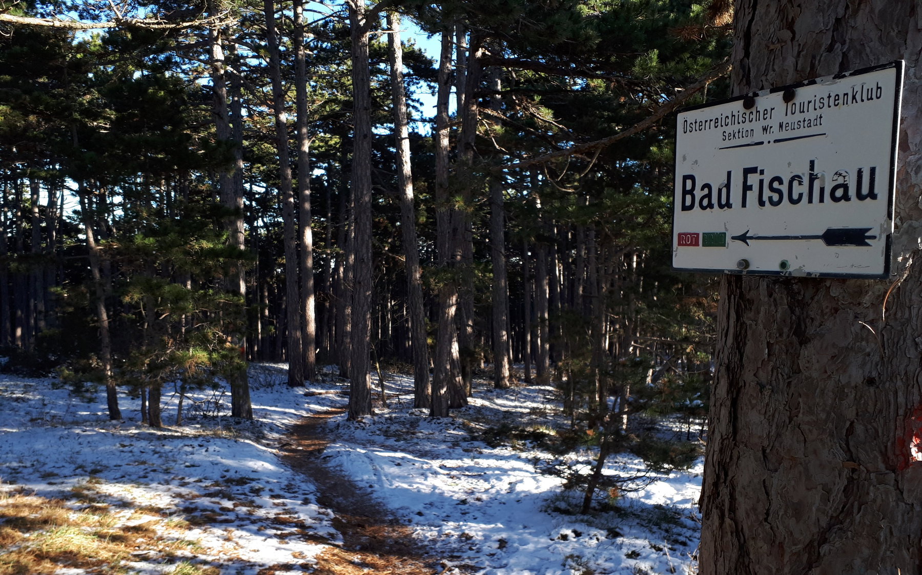 Waldweg. Foto: Gerold Petritsch