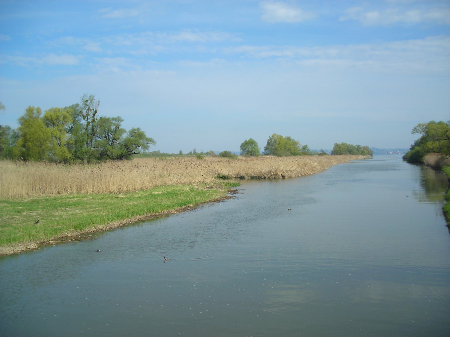 Rheindelta. Foto: Andrea Lichtenecker