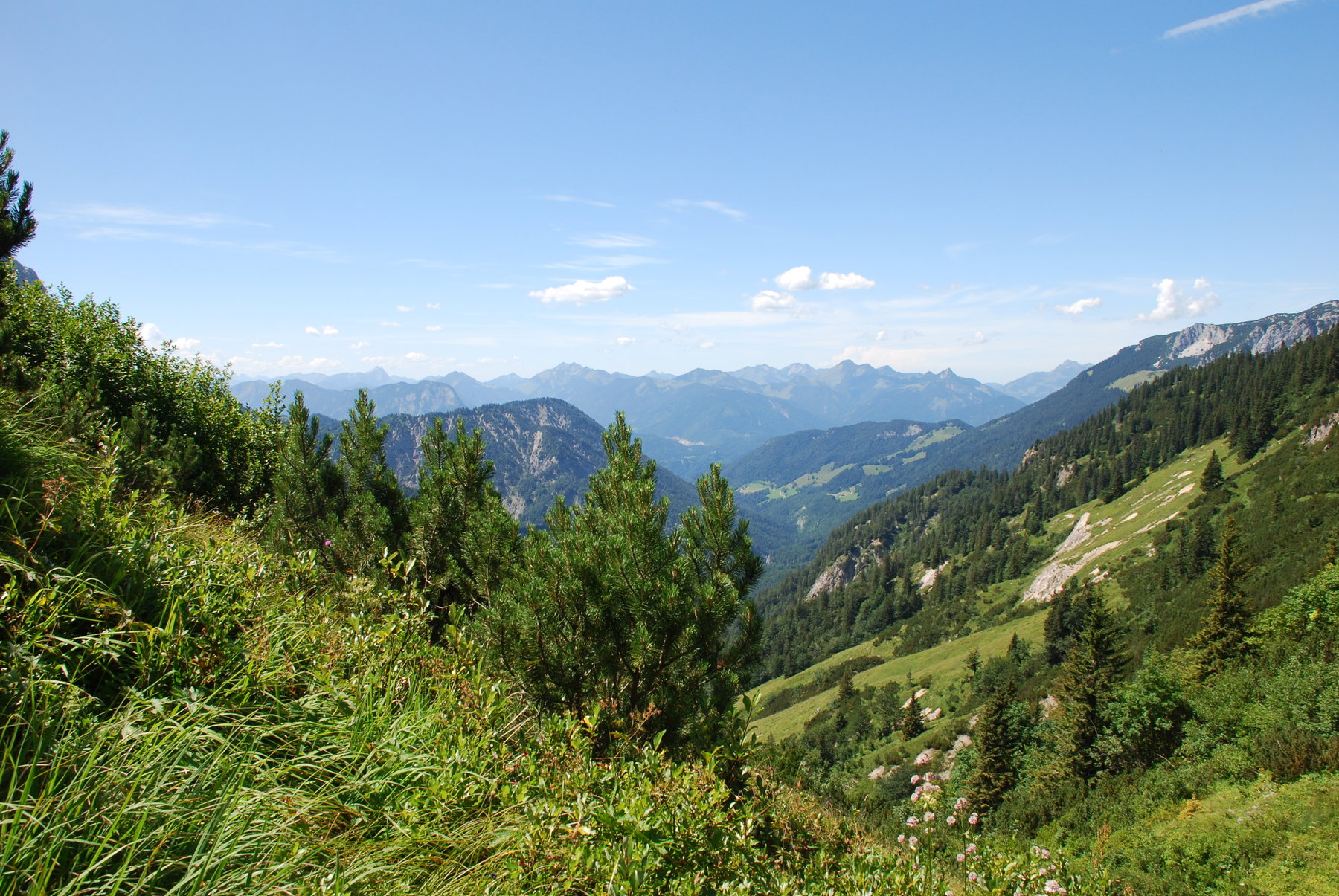 Natura Trail Kaisergebirge. Foto: Andrea Lichtenecker