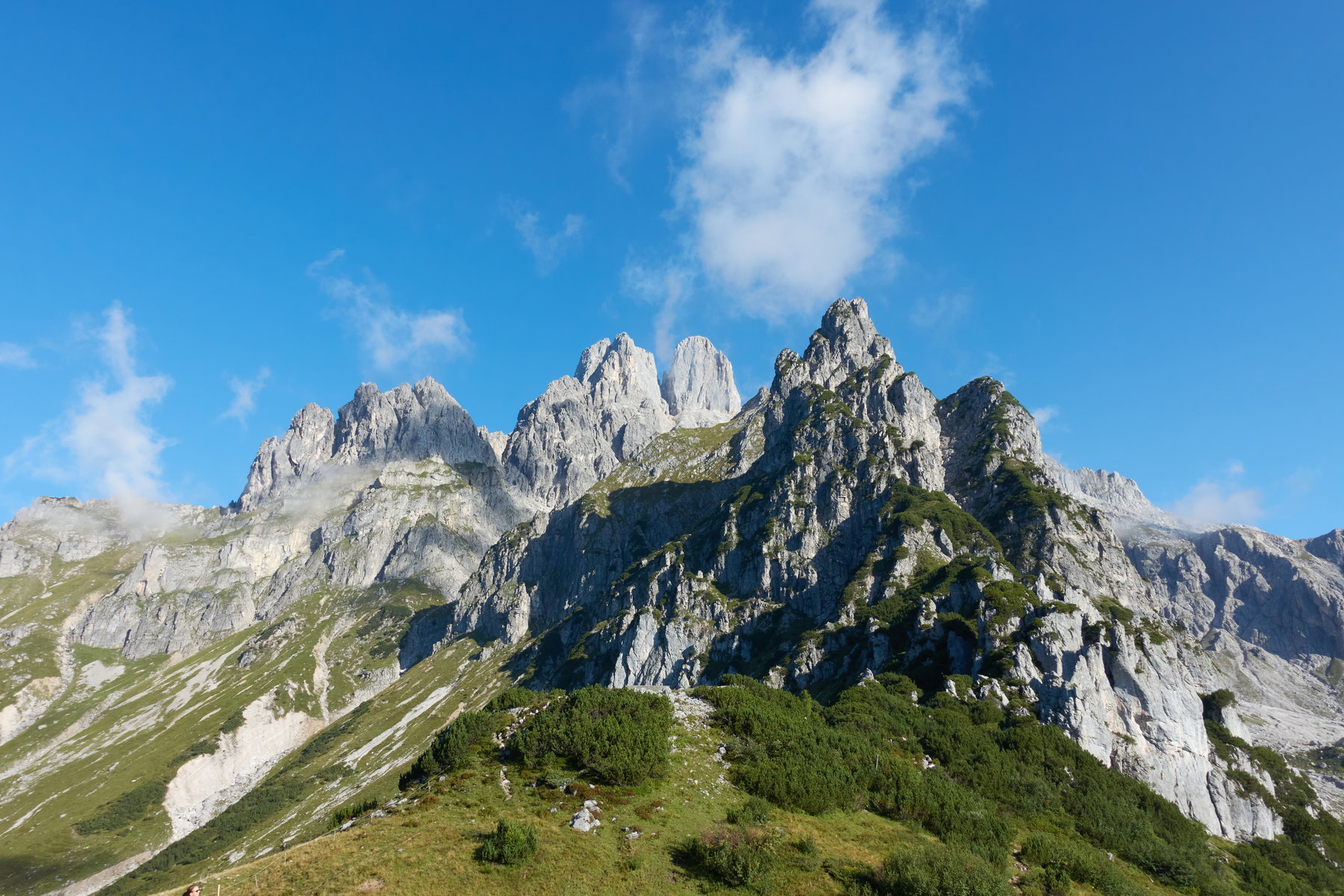 Bischofsmütze, Foto Martin Heppner