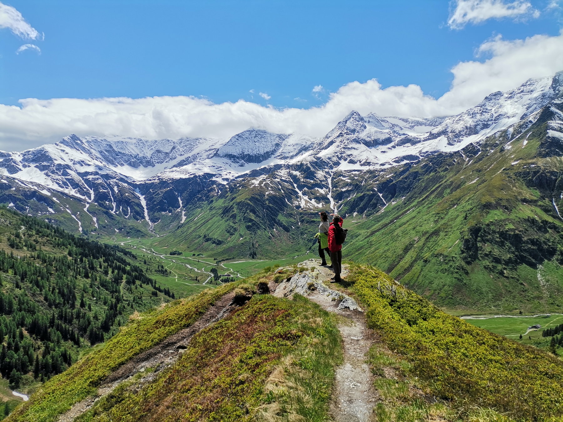 Blick in die Goldbergguppe. Foto Veronika Schöll