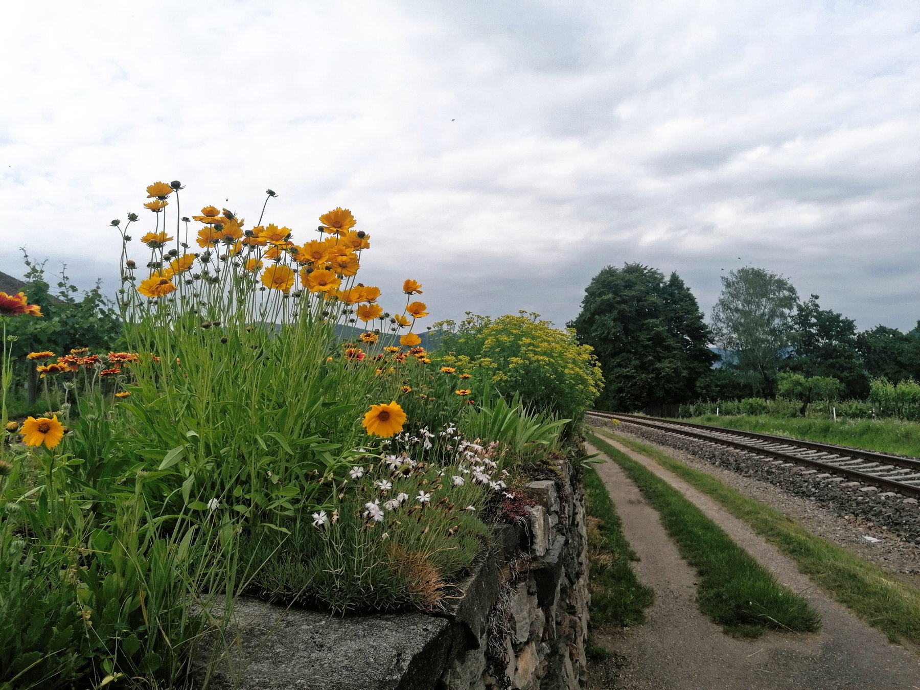Abenimpression: Zug und Blumen. Foto: Sarah Pallauf