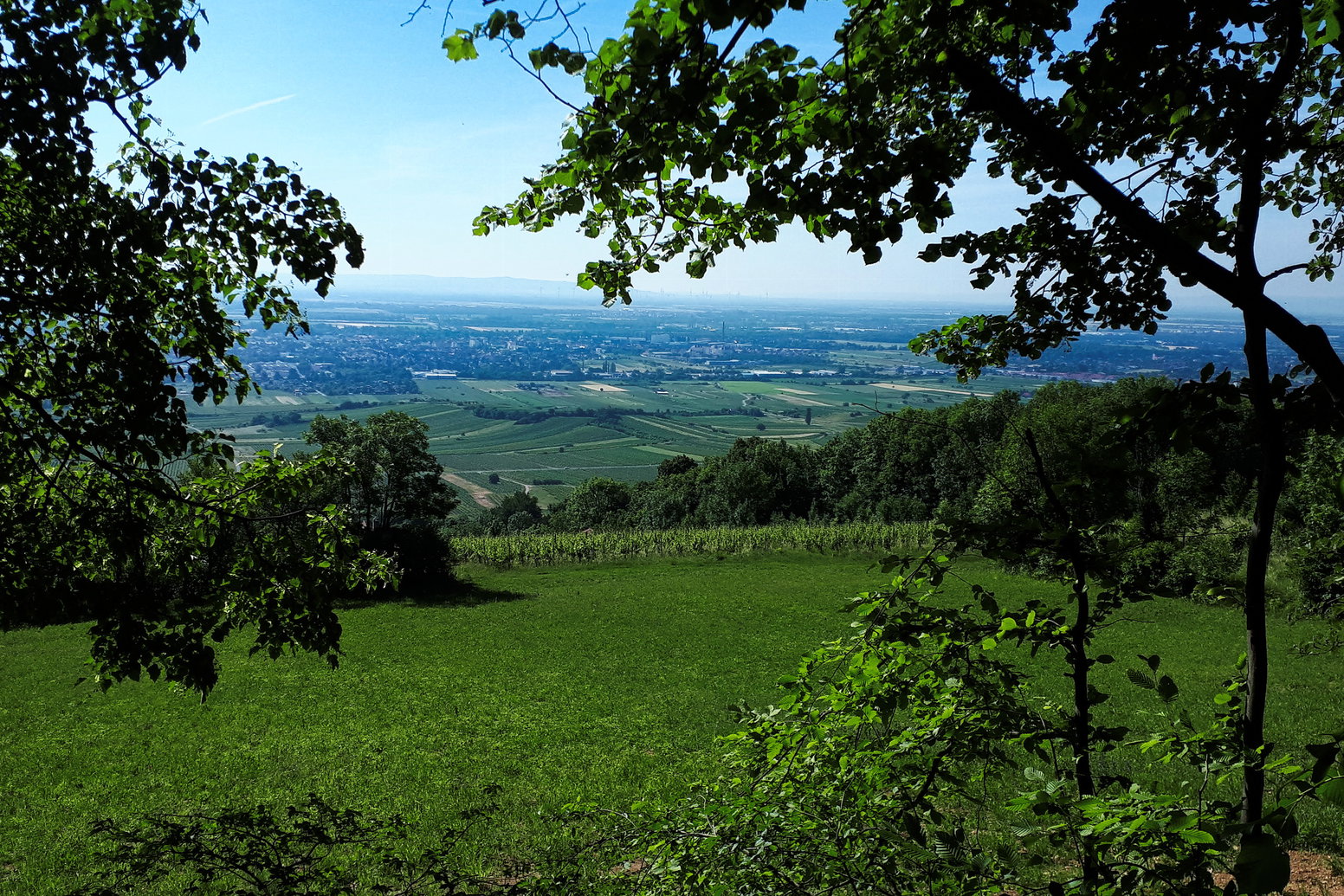Blick ins Wiener Becken. Foto: Gerold Petritsch