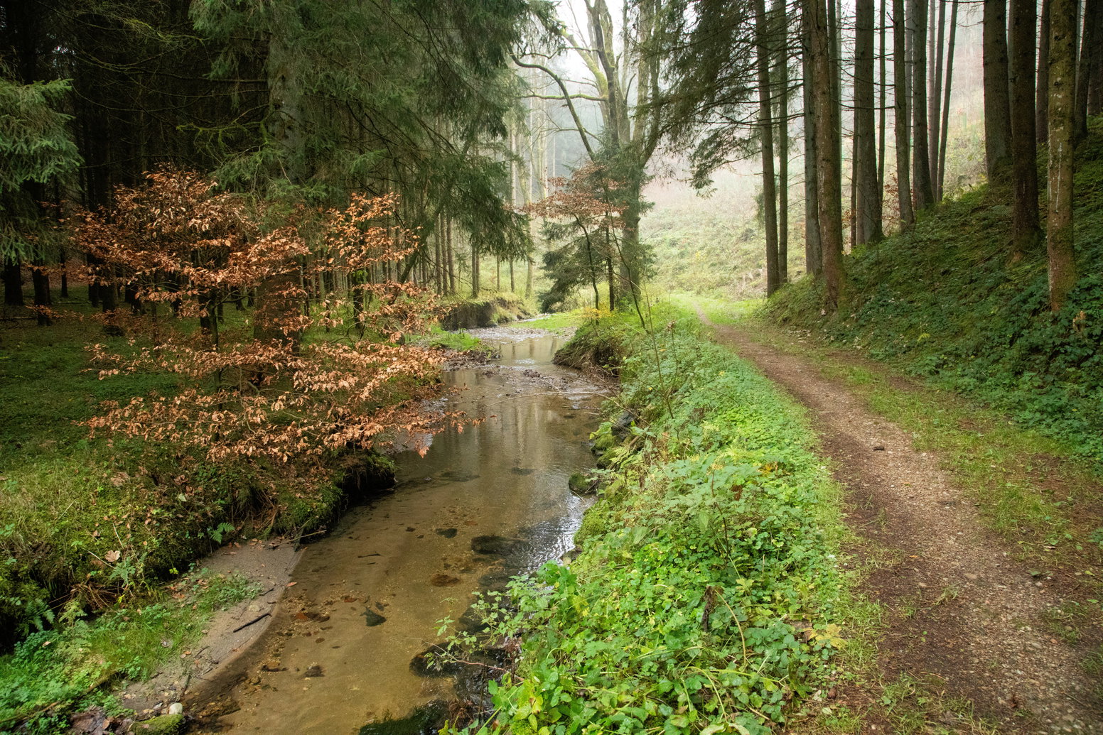 Eschelbach. Foto: Eva Maria Ginal