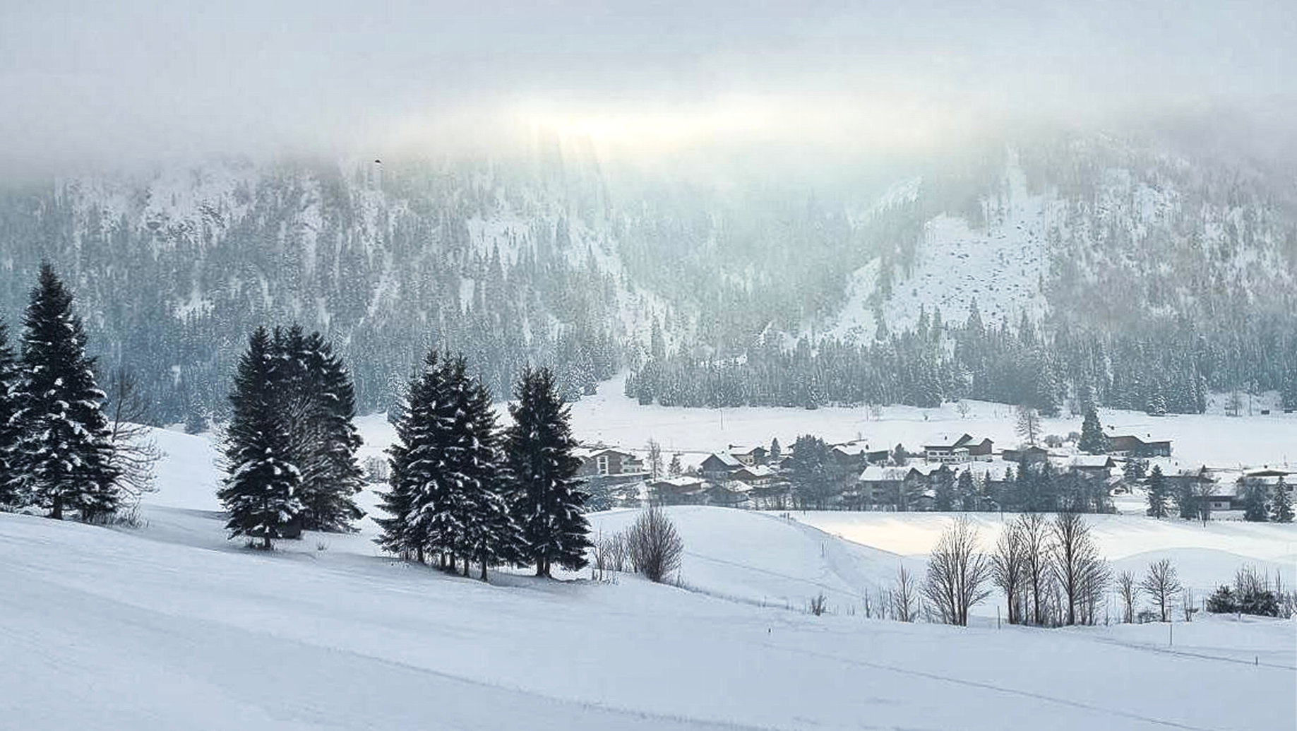 In der Nähe des Haldensee lockert der Nebel schließlich etwas auf. Foto: Felix Berg