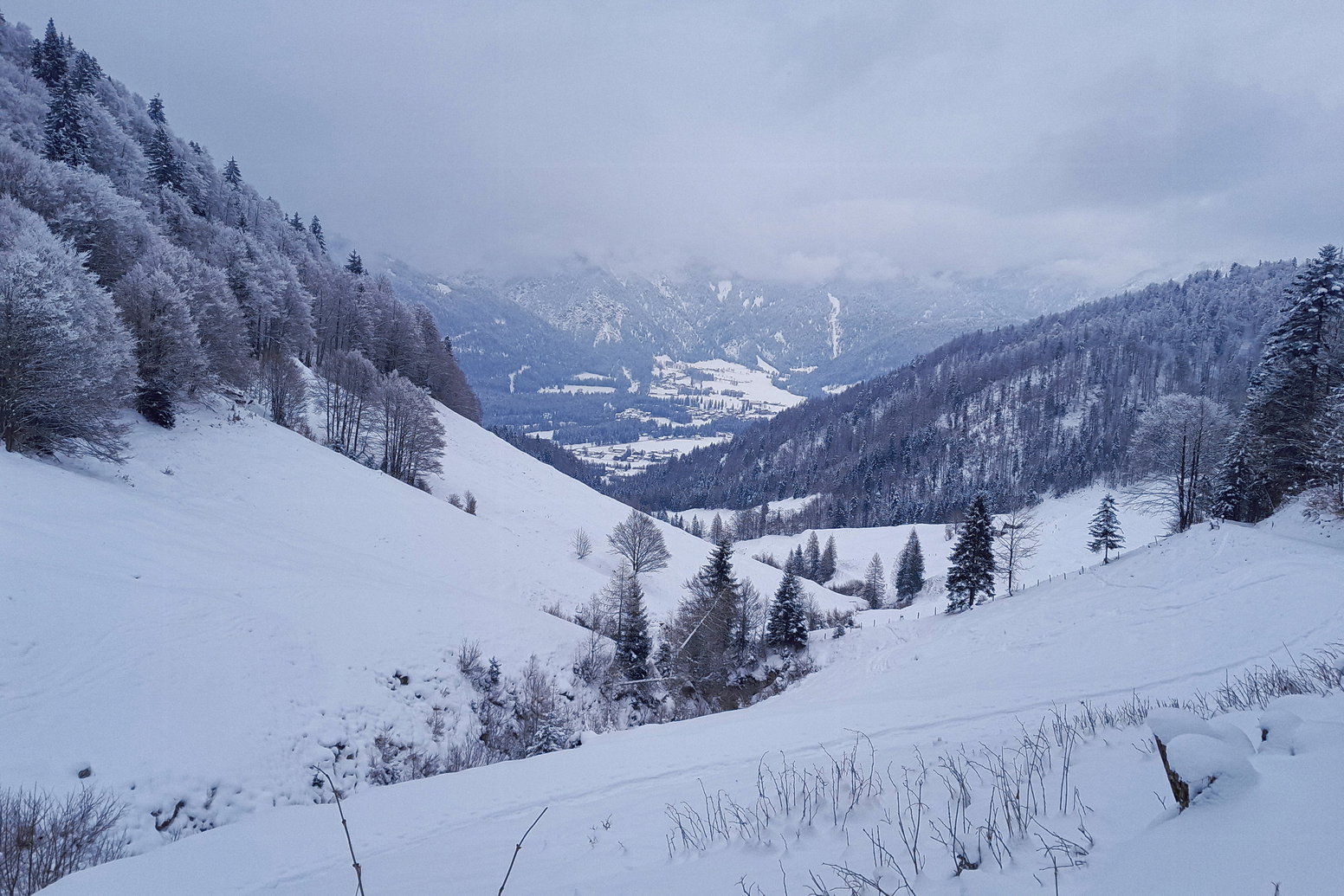 Blick zurück. Foto: Anna Siebenbrunner, POW AT