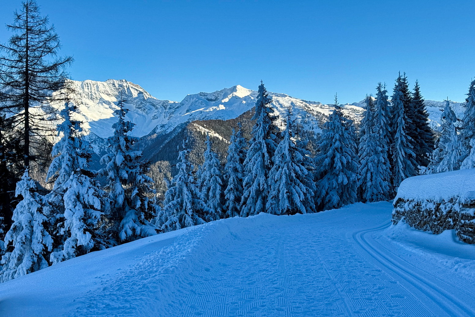 Blick Richtung Süden. Foto: Bernhard Walle