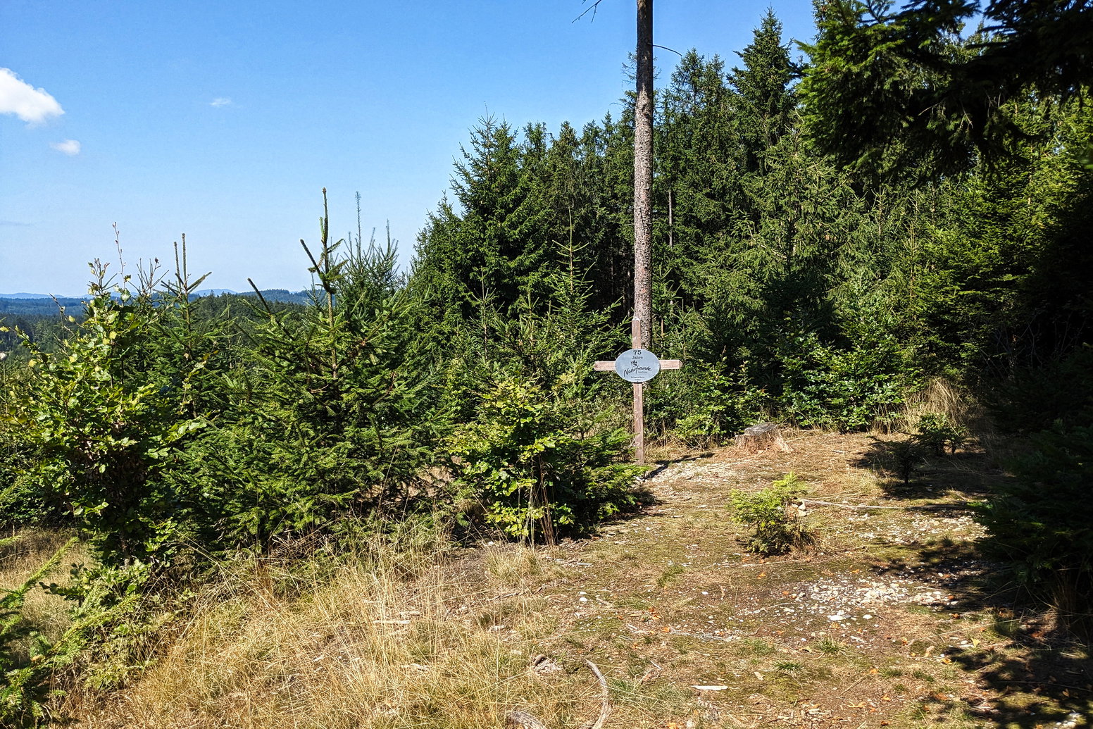 Ein kleines Kreuz der Naturfreunde markiert den Urhamerberg. Im Schatten der großen Fichte steht eine Bank mit Tisch. Auch ein kleiner Bike-Trail findet sich hier, ein Indiz für die vielfältige sportliche Nutzung des Hausruckwaldes. Foto: Thomas Obermair