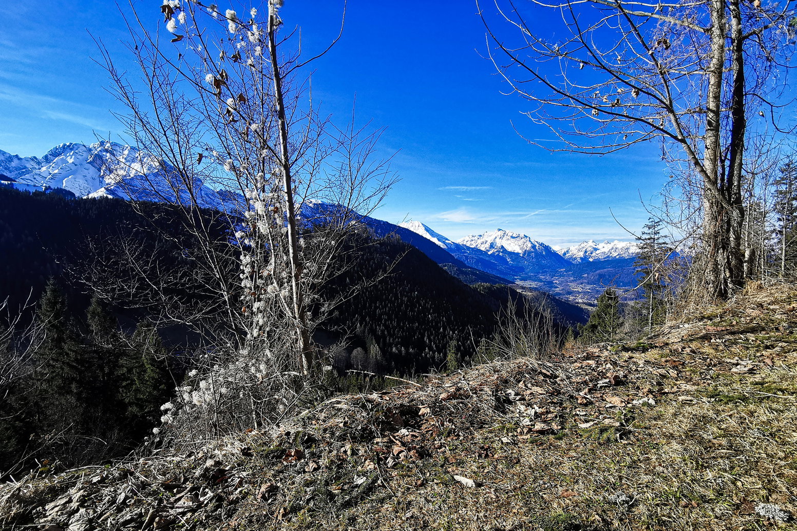Durch sonnigen Wald nach oben. Foto: Tina Lin.