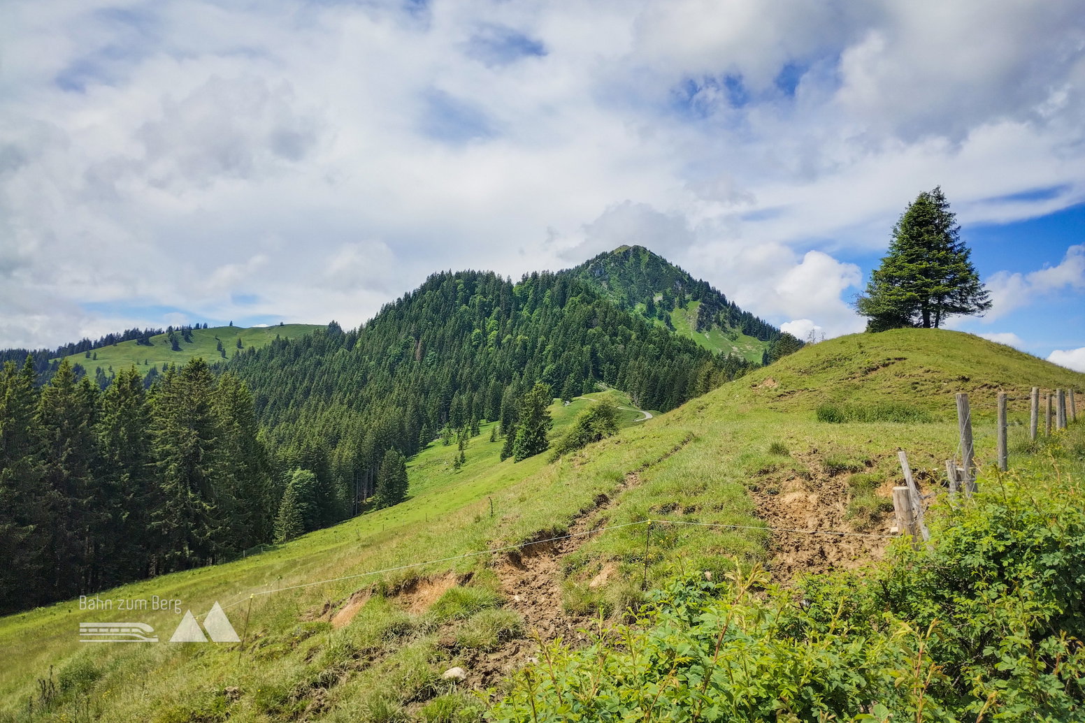 Foto: Nikolaus Vogl