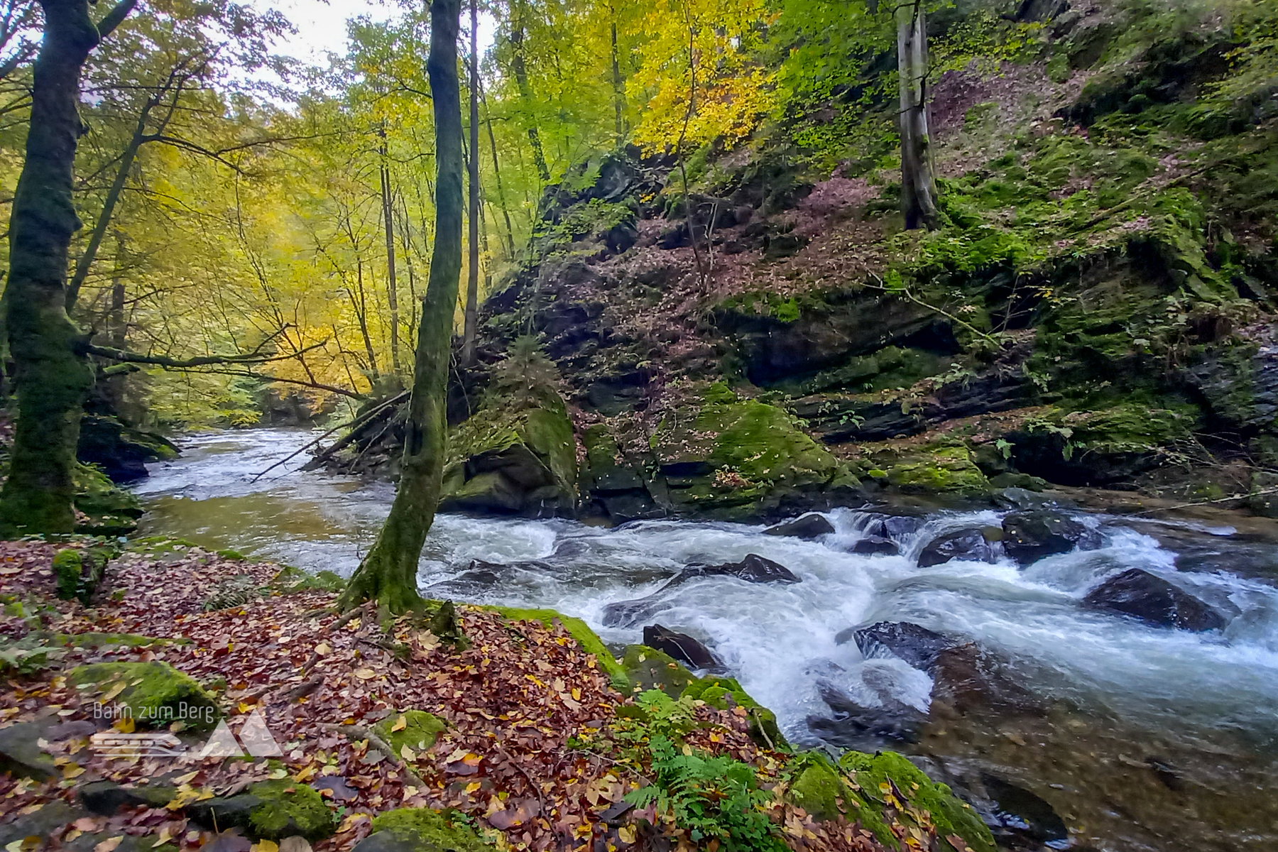 Das Rauschen der Laßnitz begleitet mich auf meinem Weg. Foto: Martina Friesenbichler