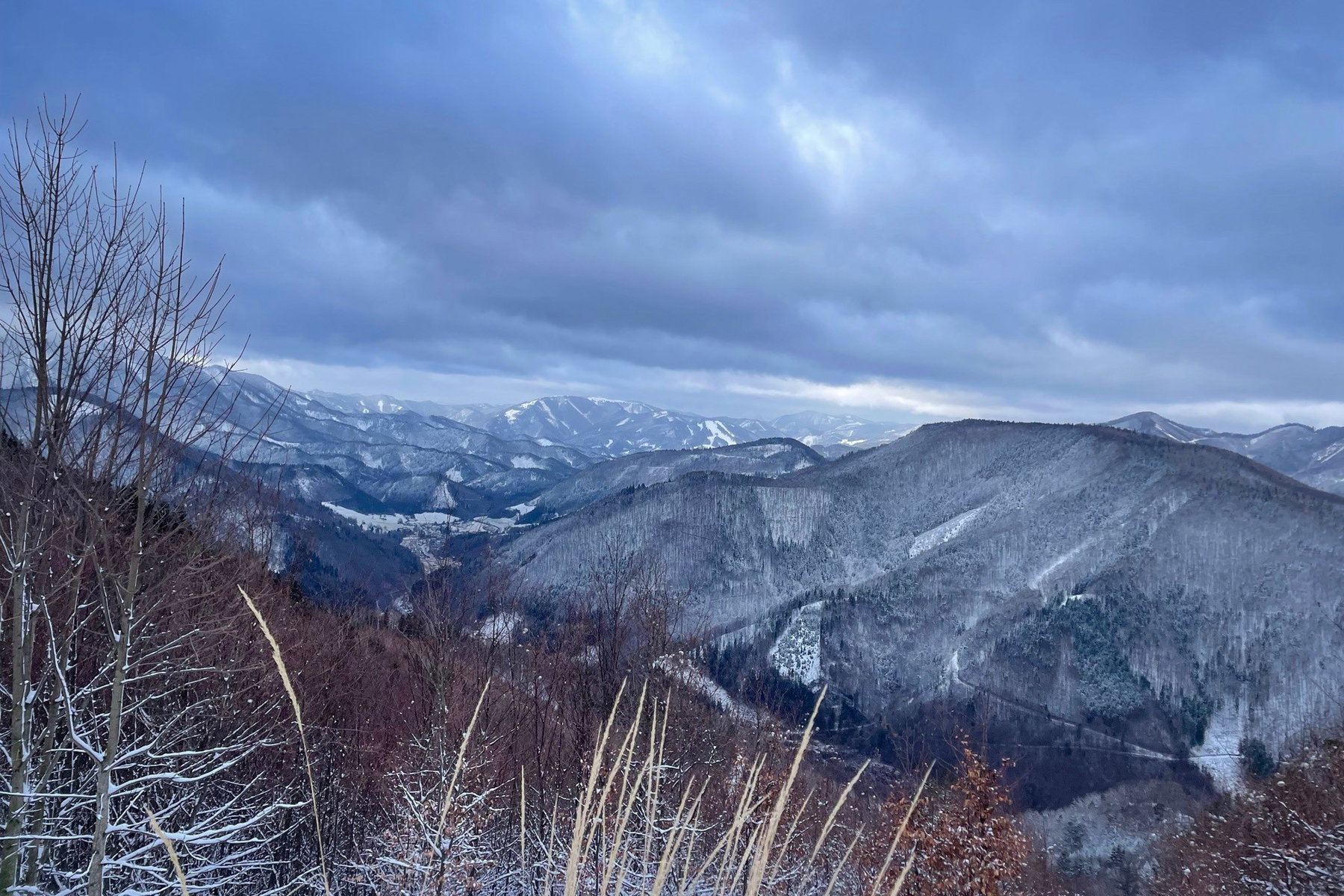 Blick Richtung Türnitz. Foto: Ursula Truebswasser