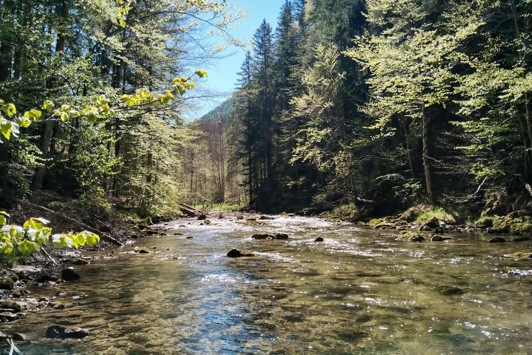 Wandern entlang der Salza. Foto: Tobias Brugger