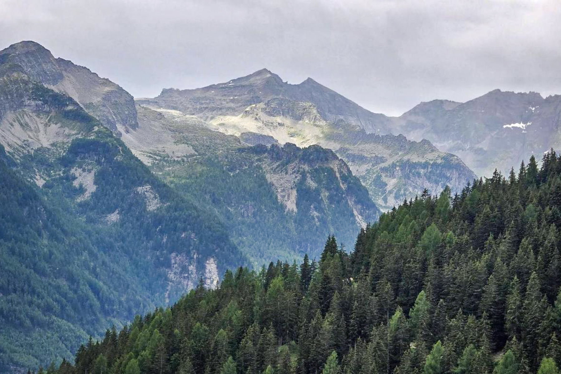 Blick vom Faschauner Törl zur Ankogelgruppe. Foto: Gerold Petritsch