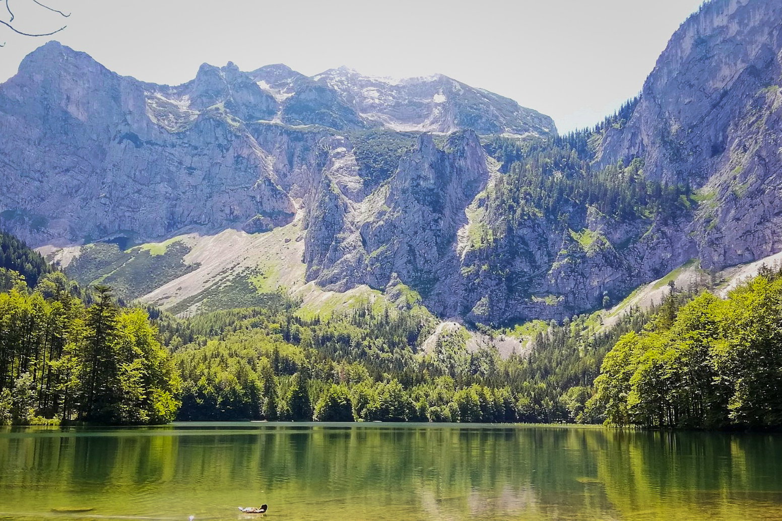 Der hintere Langbathsee. Foto: Sarah Stainer