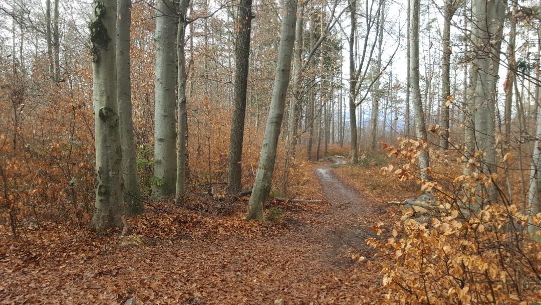 Gemütliche Tour auf den Fürstenstand
