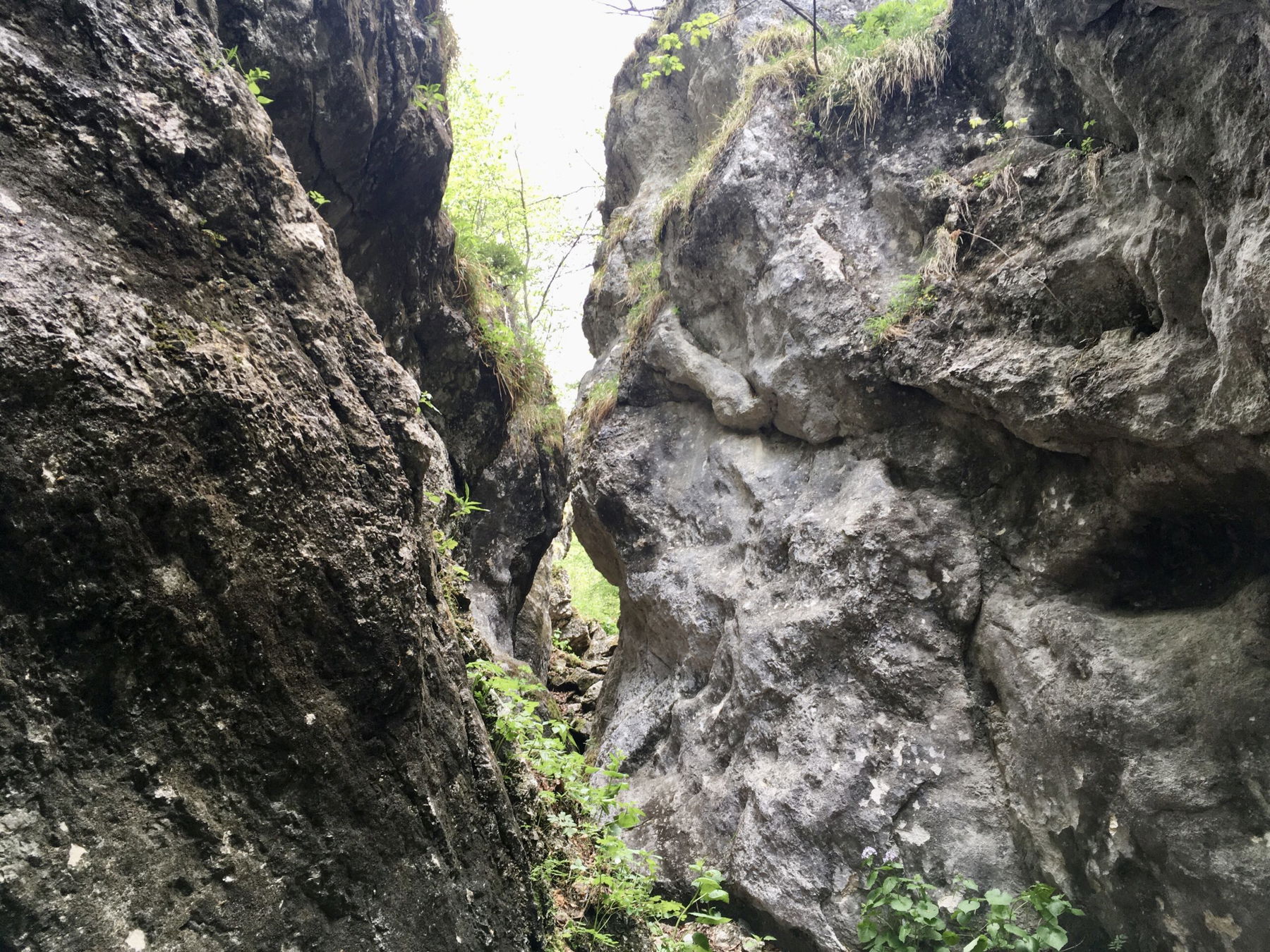 Durch die wildromantische Weichtalklamm