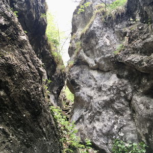 Durch die wildromantische Weichtalklamm