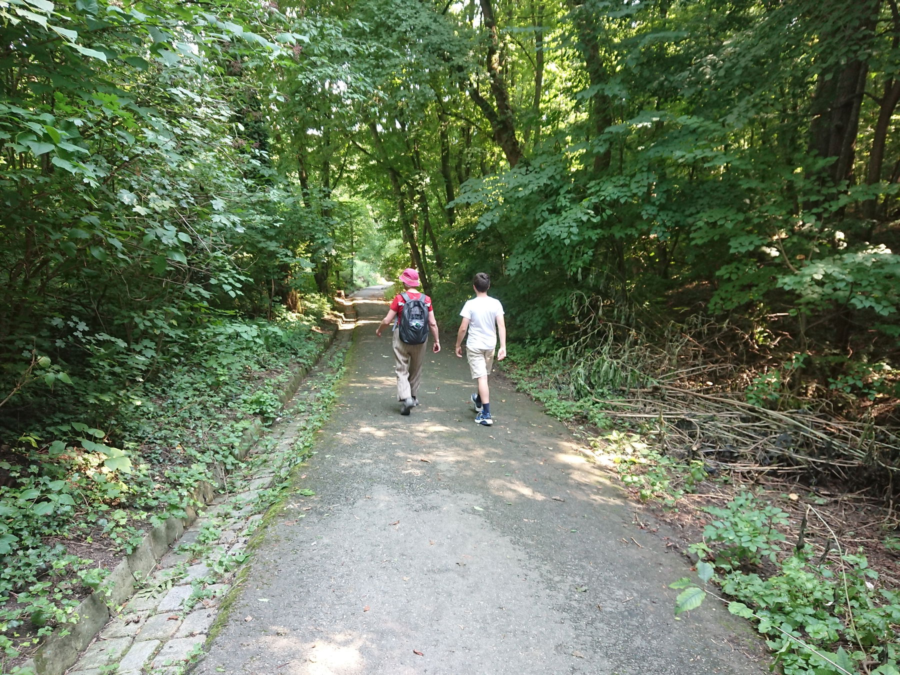 Stadtwanderweg 2 über den Hermannskogel
