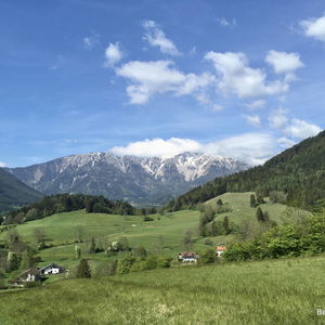 Öhler und Schober andersrum