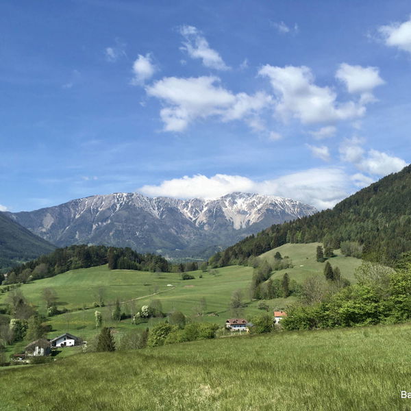 Öhler und Schober andersrum