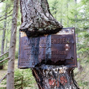 Über die Wildfährte auf die Rax klettern