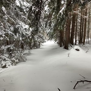 Winterspaziergang über den Gahns
