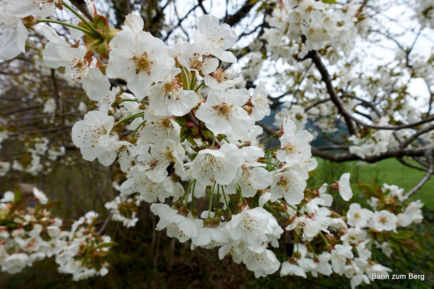 Familienwanderung Knofeleben und Salamanderbahnweg