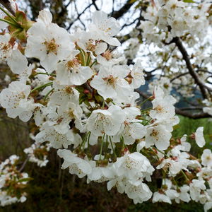 Familienwanderung Knofeleben und Salamanderbahnweg