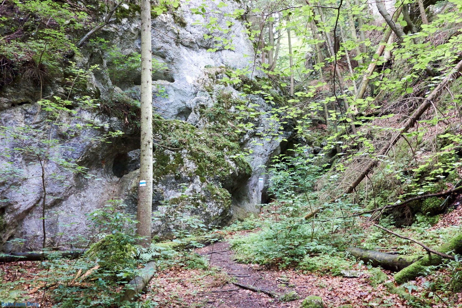 Überschreitung hintere Hohe Wand