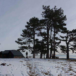 Das Geländ: ein lohnendes Tourenziel im Westen der Hohen Wand