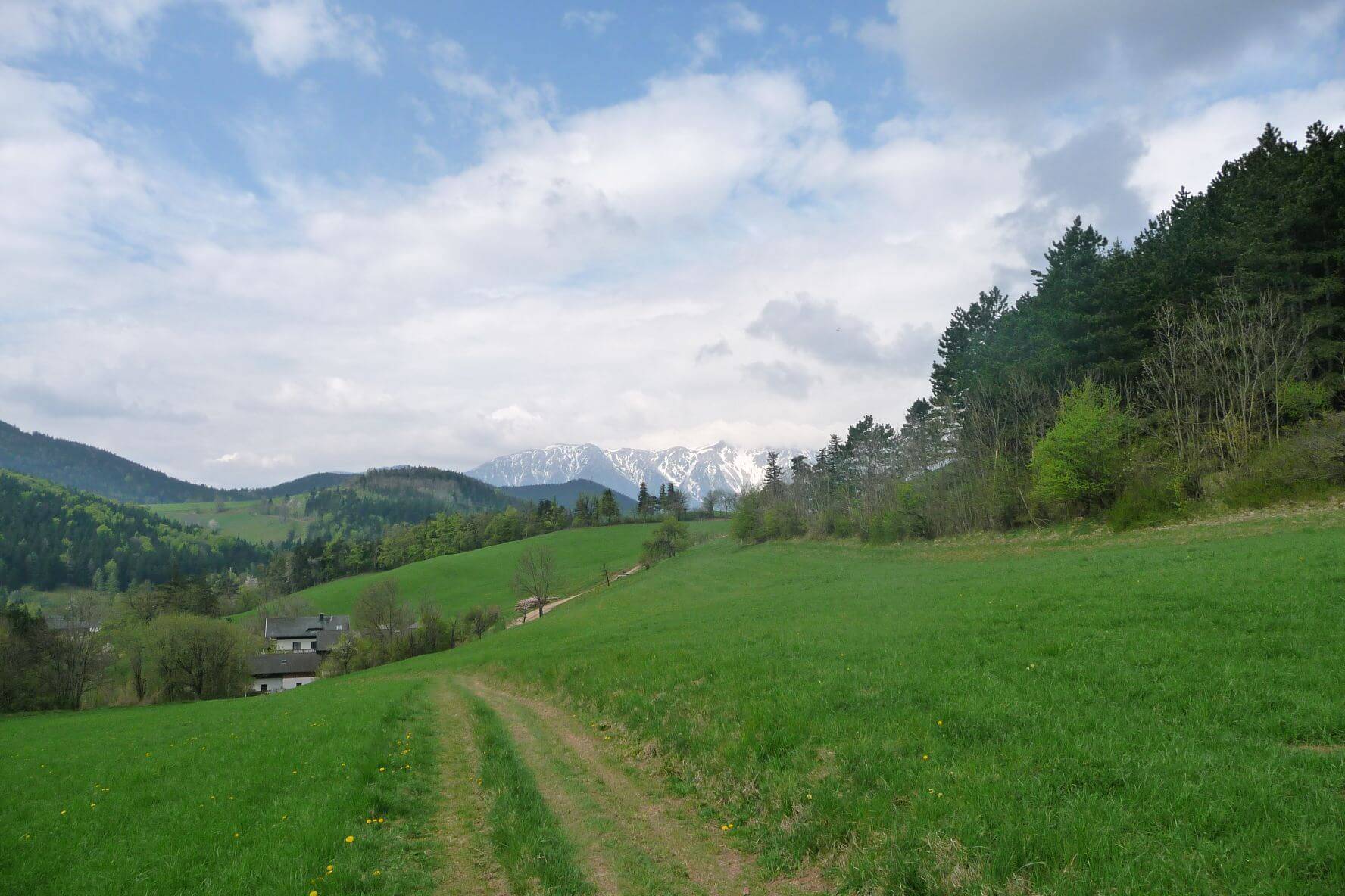 Almwanderung auf der Hohen Wand