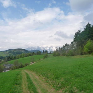 Almwanderung auf der Hohen Wand