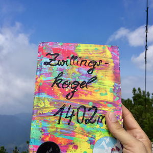 Zwillingskogel mit Pilzen