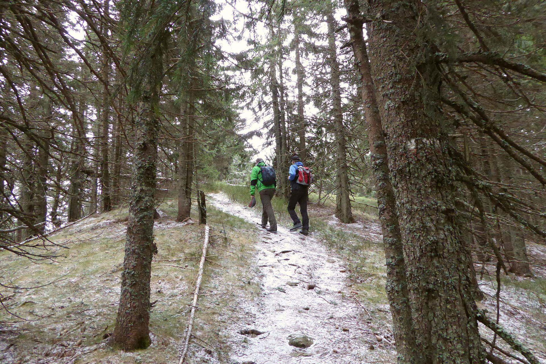 Novemberwanderung von Prein nach Mürzzuschlag