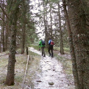 Novemberwanderung von Prein nach Mürzzuschlag
