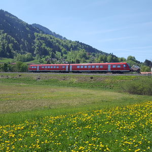 Von Sachrang auf den Spitzstein