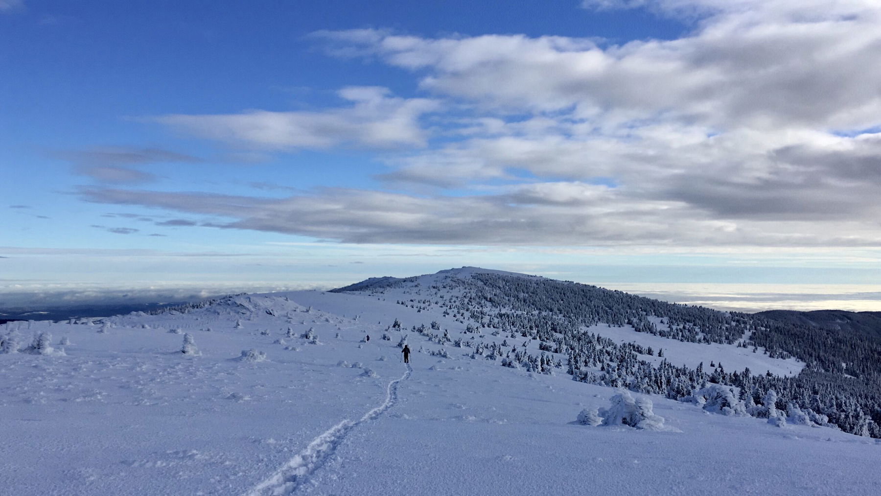 In Schneeschuhen auf den Hochwechsel