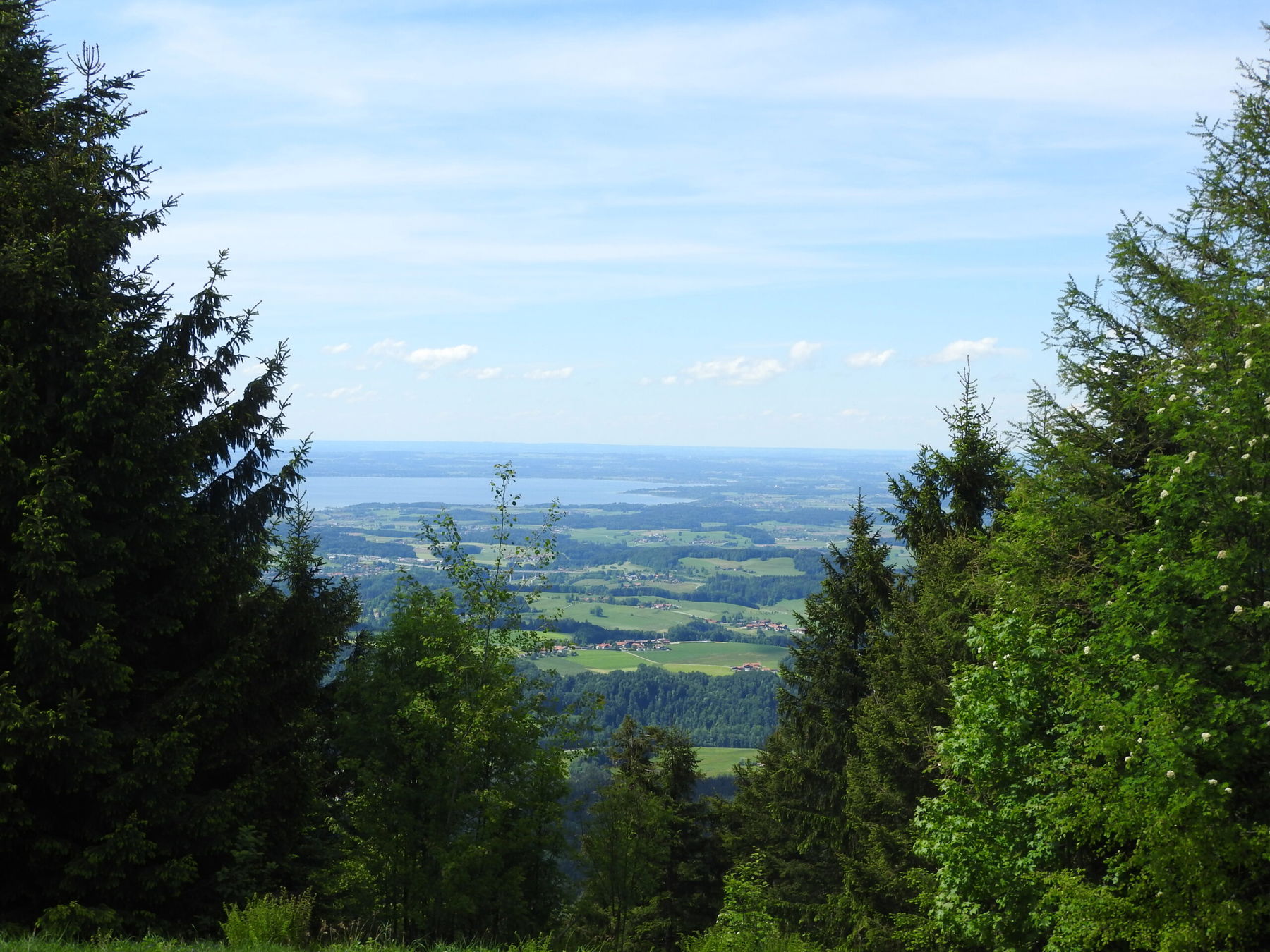 Zinnkopf: Winterberg bei Ruhpolding