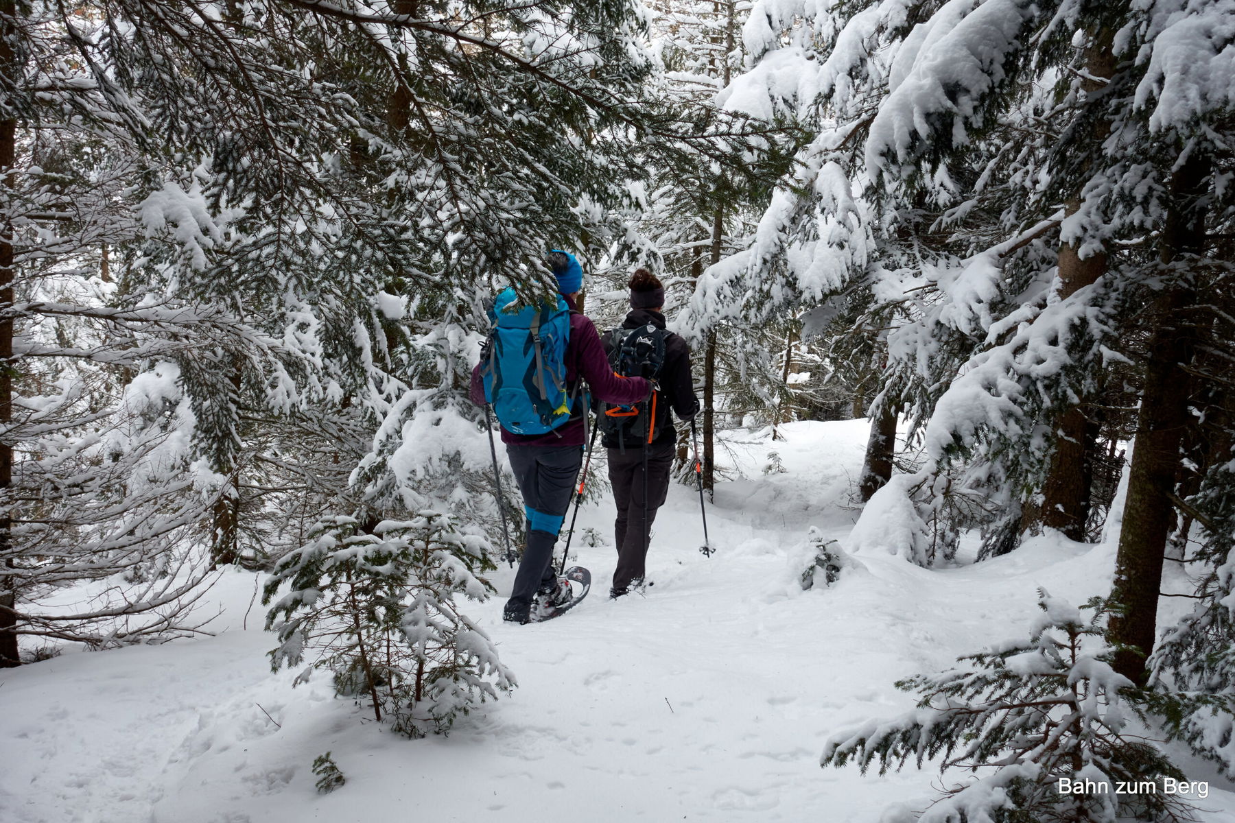 Schneeschuhwanderung, mit allem und scharf