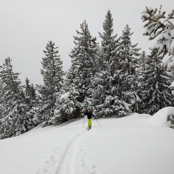 Skitour auf den kleinen Nachbarn des Rauschbergs