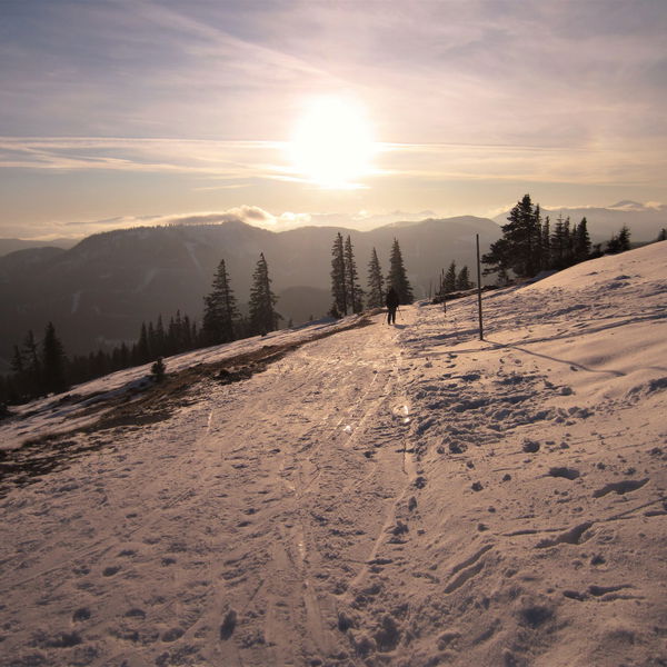 Tirolerkogel, der Vielseitige